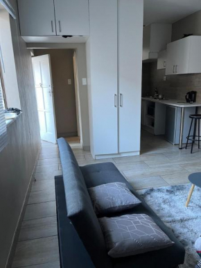 Cozy studio apartment in Long street